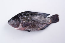 Load image into Gallery viewer, DeliGood Tilapia