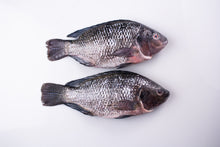 Load image into Gallery viewer, DeliGood Tilapia