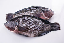 Load image into Gallery viewer, DeliGood Tilapia