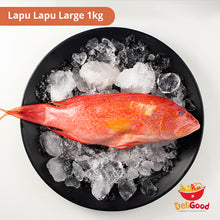Load image into Gallery viewer, DeliGood Lapu Lapu Red 1kg