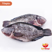 Load image into Gallery viewer, DeliGood Tilapia