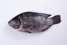 Load image into Gallery viewer, DeliGood Tilapia
