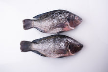 Load image into Gallery viewer, DeliGood Tilapia
