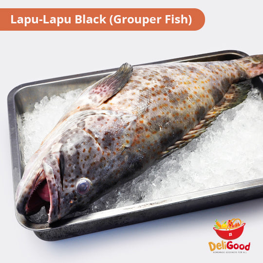 DeliGood Black Lapu Lapu Fish Large  1pc 1kl