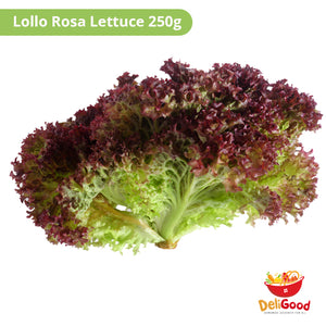 Lollo Rosa Lettuce 250g