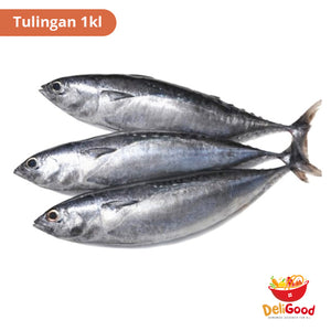 Tulingan (Tuna Mackerel ) 1kg