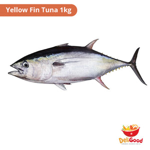 Yellow Fin Tuna 1kg