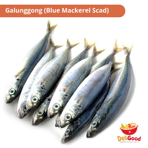 Galunggong (Blue Mackerel Scad)